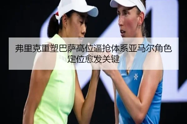 fu-li-ke-zhong-su-ba-sa-gao-wei-bi-qiang-ti-xi-ya-ma-er-jue-se-ding-wei-yu-fa-guan-jian-2-557.jpg