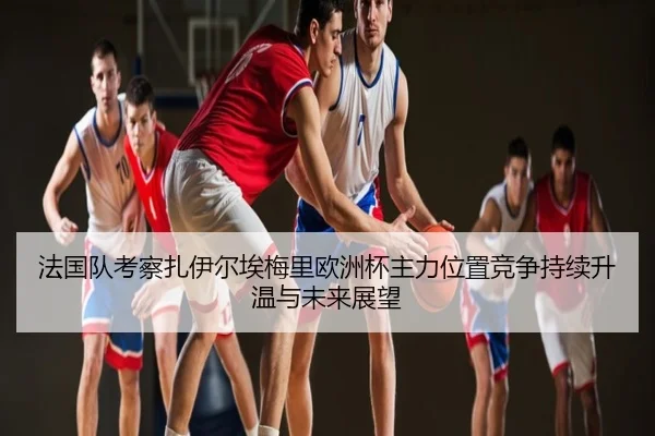 法国队考察扎伊尔埃梅里欧洲杯主力位置竞争持续升温与未来展望